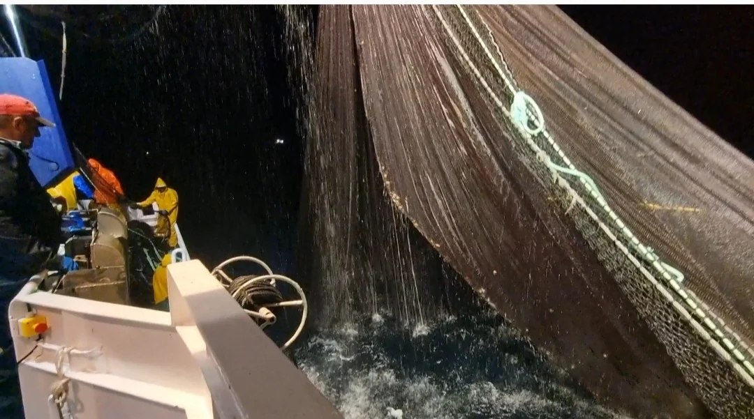 Asistencia técnica a bordo durante operación de pesca