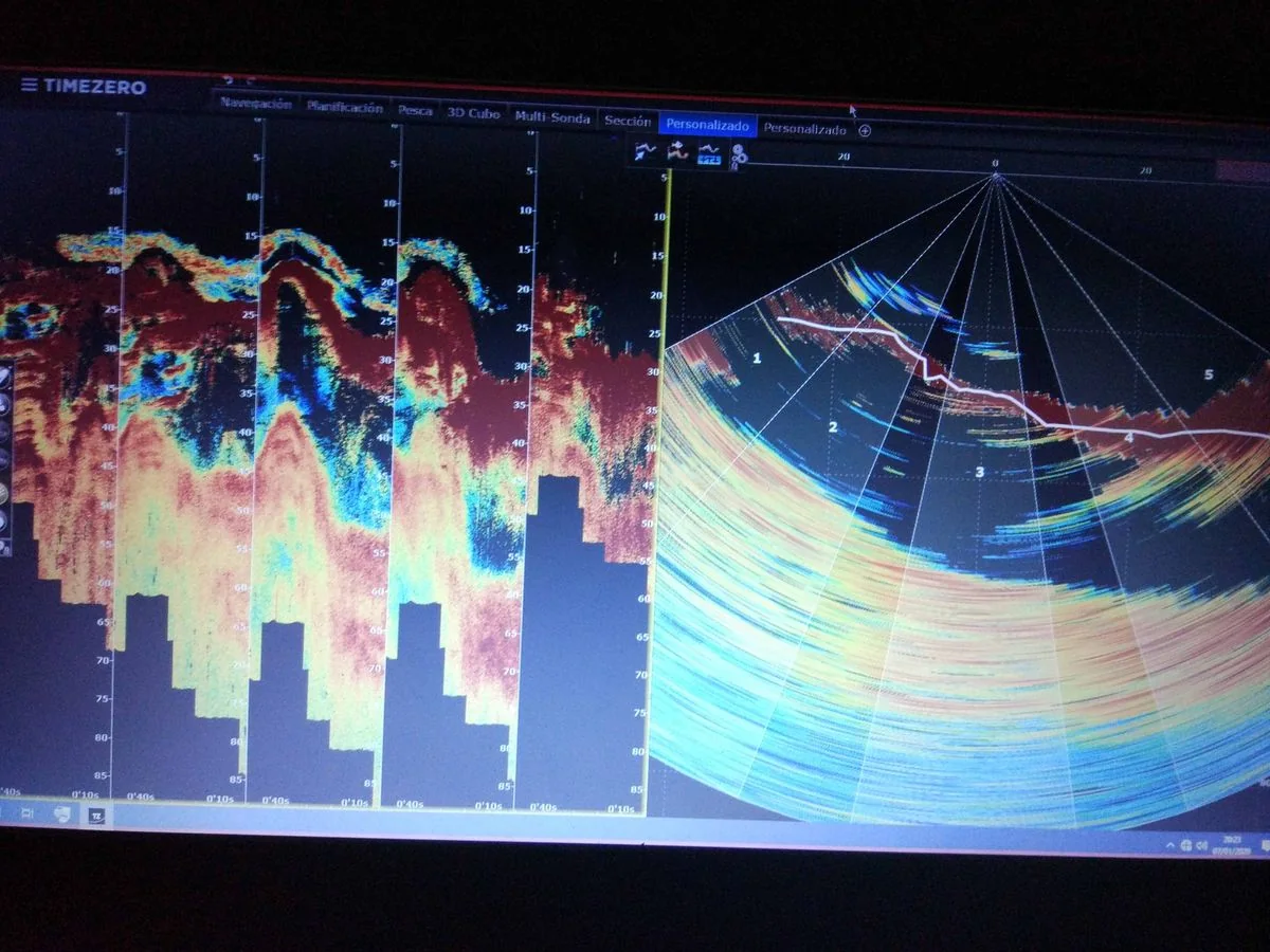 Visualización de sonda multihaz